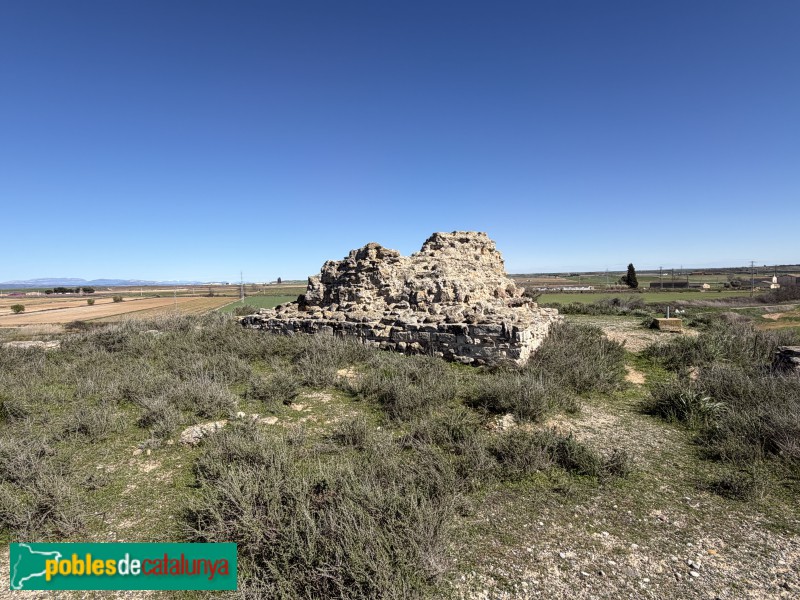 Almacelles - Castell de la Saira (Foto: Albert Esteves, 2026) Almacelles - Castell de la Saira