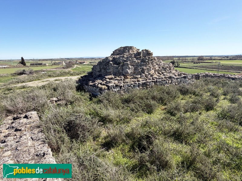 Almacelles - Castell de la Saira (Foto: Albert Esteves, 2026) Almacelles - Castell de la Saira