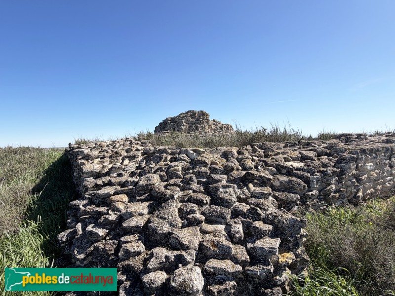 Almacelles - Castell de la Saira (Foto: Albert Esteves, 2026) Almacelles - Castell de la Saira