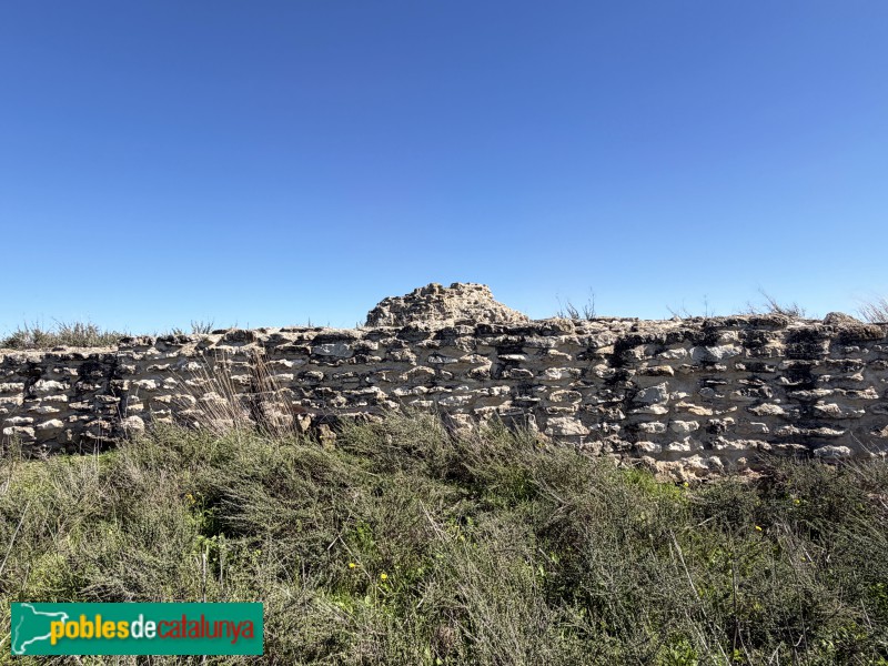 Almacelles - Castell de la Saira (Foto: Albert Esteves, 2026) Almacelles - Castell de la Saira