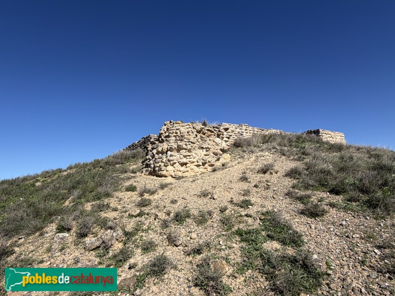 Almacelles - Castell de la Saira (Foto: Albert Esteves, 2026) Almacelles - Castell de la Saira