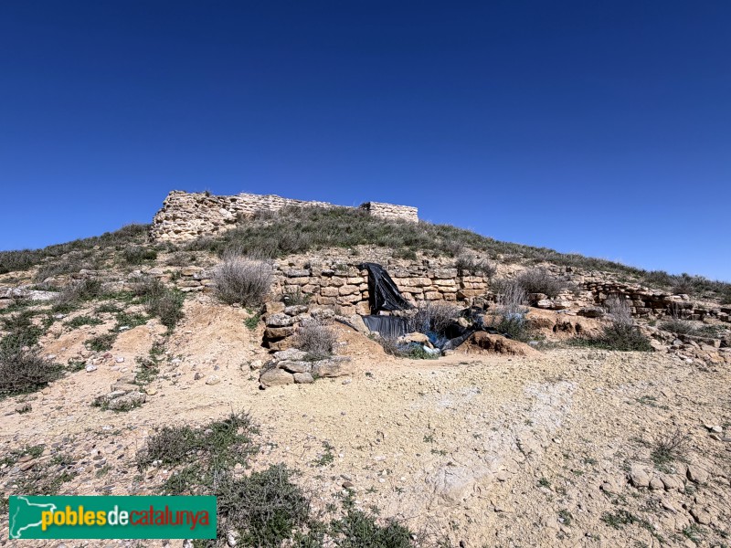 Almacelles - Castell de la Saira (Foto: Albert Esteves, 2026) Almacelles - Castell de la Saira