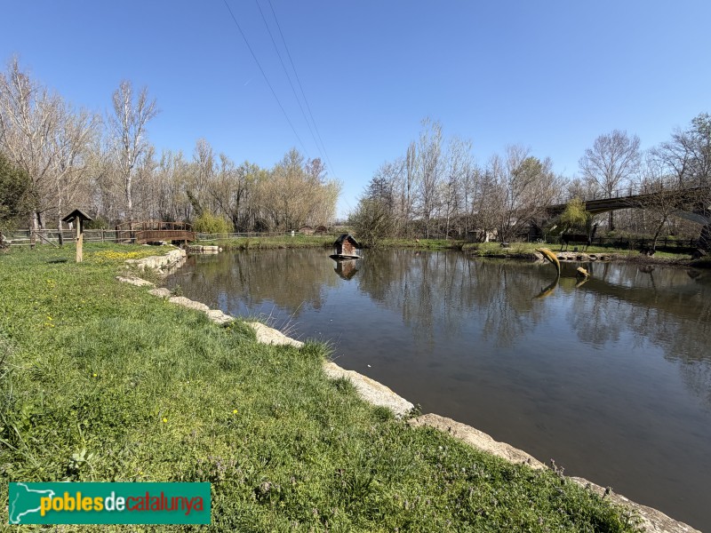 Corbins - Parc del Riu (Foto: Albert Esteves, 2026) Corbins - Parc del Riu