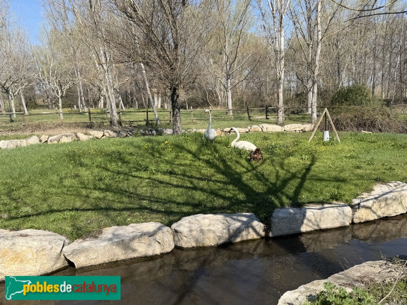 Corbins - Parc del Riu (Foto: Albert Esteves, 2026) Corbins - Parc del Riu