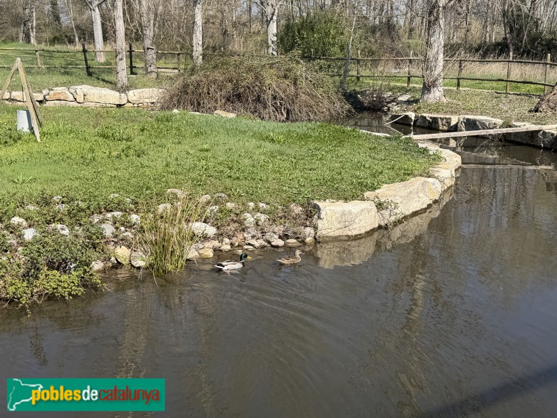 Corbins - Parc del Riu (Foto: Albert Esteves, 2026) Corbins - Parc del Riu