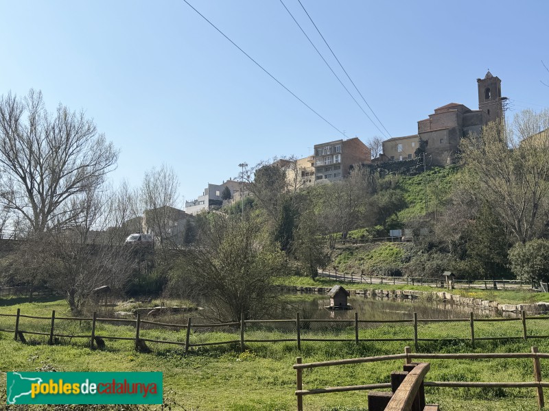 Corbins - Parc del Riu (Foto: Albert Esteves, 2026) Corbins - Parc del Riu