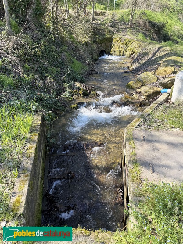 Corbins - Parc del Riu (Foto: Albert Esteves, 2026) Corbins - Parc del Riu