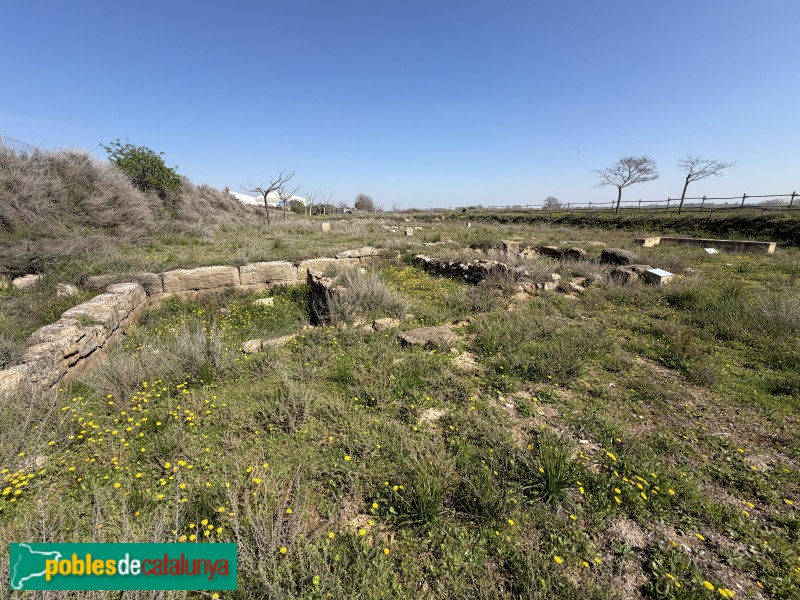 Corbins - Vil·la del Tossal del Moro