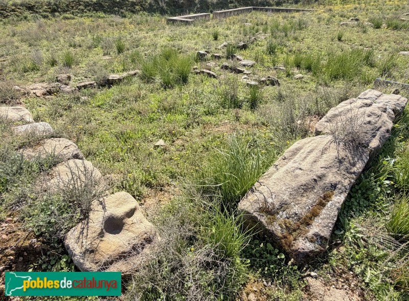 Corbins - Vil·la del Tossal del Moro