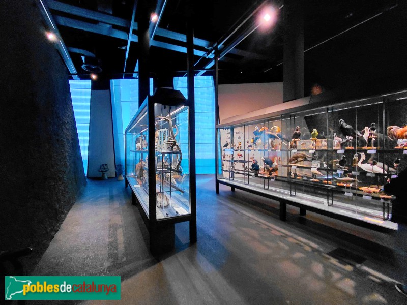 Barcelona - Edifici Fòrum (Museu Blau) (Foto: Sergi Suárez, 2026) Barcelona - Edifici Fòrum (Museu Blau)