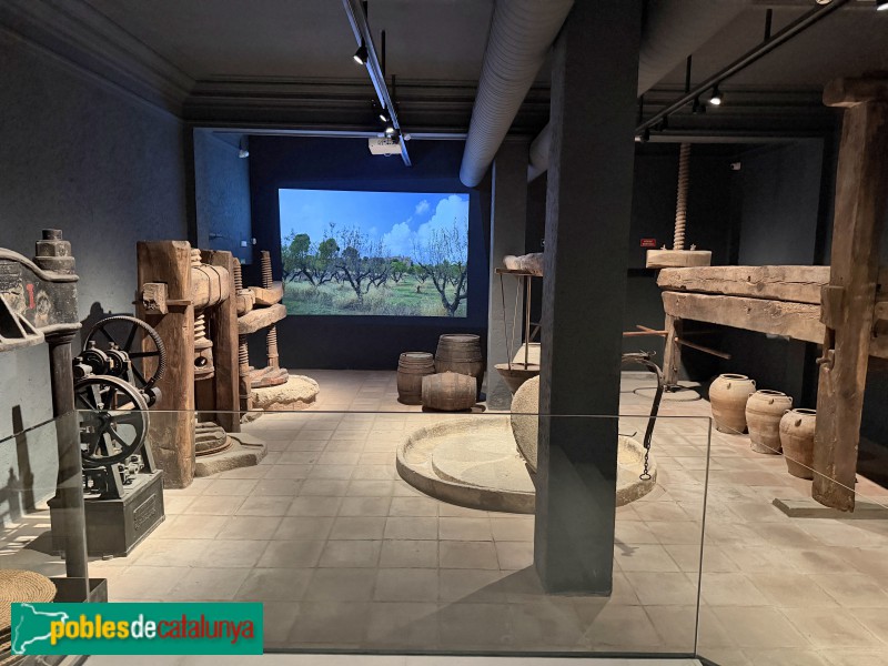 Reus - Museu d'Art i Història de Reus (Foto: Albert Esteves, 2026) Reus - Museu d'Art i Història de Reus