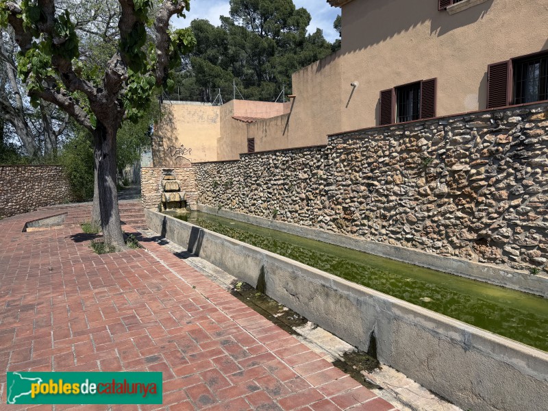 Santa Oliva - Safareigs