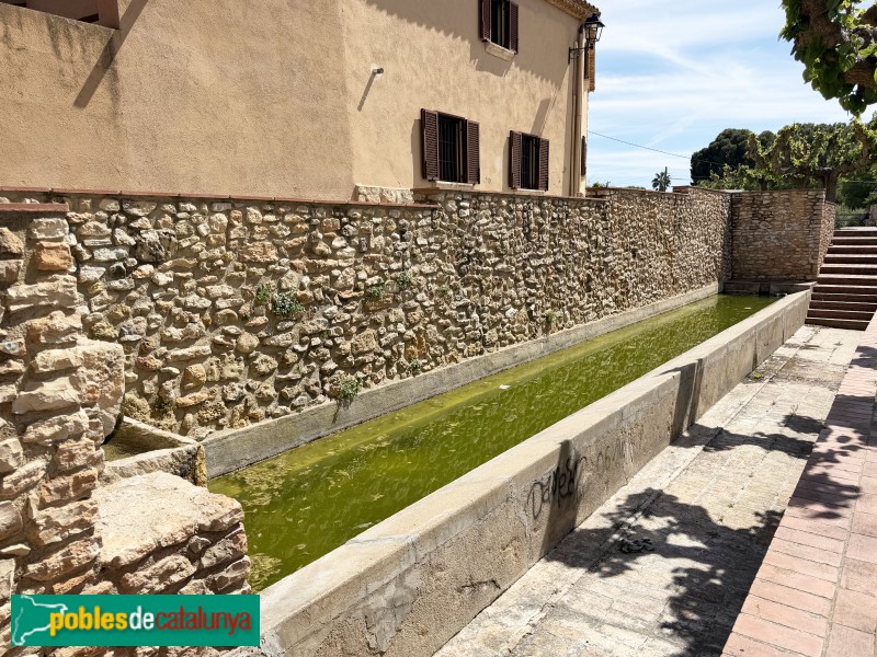 Santa Oliva - Safareigs