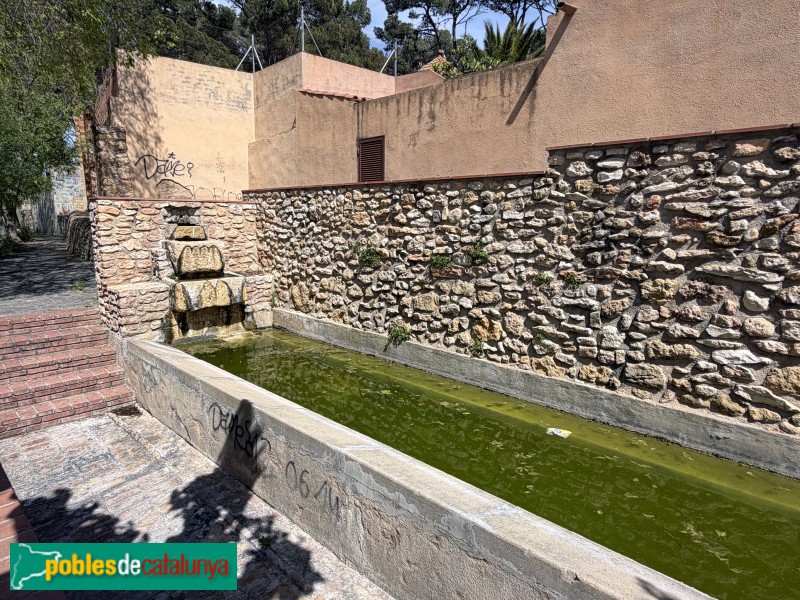 Santa Oliva - Safareigs