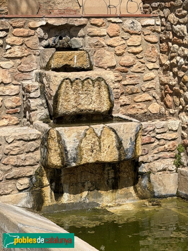 Santa Oliva - Safareigs