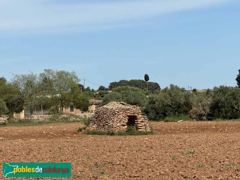 Santa Oliva - Barraca de pedra seca (Foto: Albert Esteves, 2026) Santa Oliva - Barraca de pedra seca