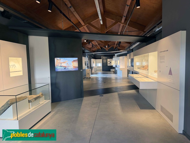 Roda de Ter - Museu Arqueològic de l'Esquerda