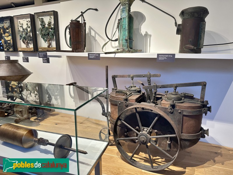 Vilafranca del Penedès - Vinseum