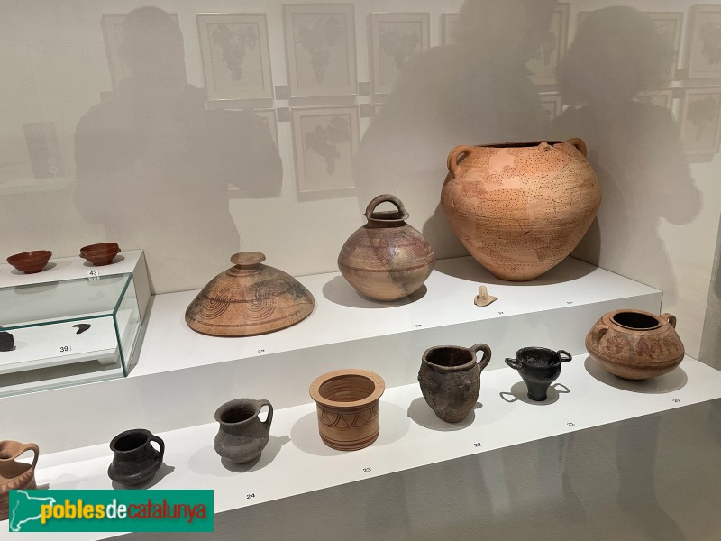 Vilafranca del Penedès - Vinseum