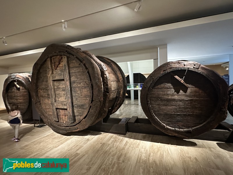 Vilafranca del Penedès - Vinseum