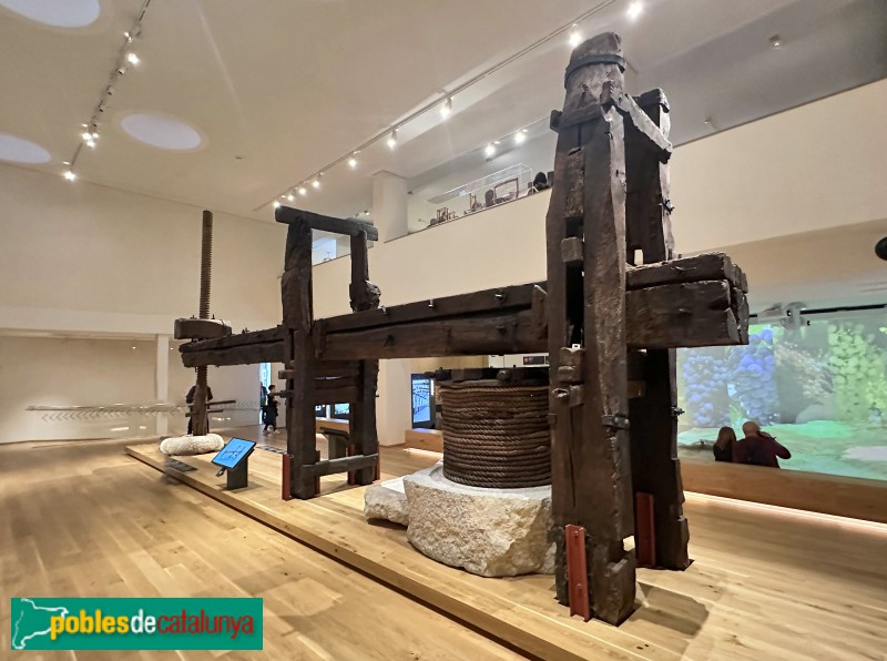 Vilafranca del Penedès - Vinseum. Premsa de biga