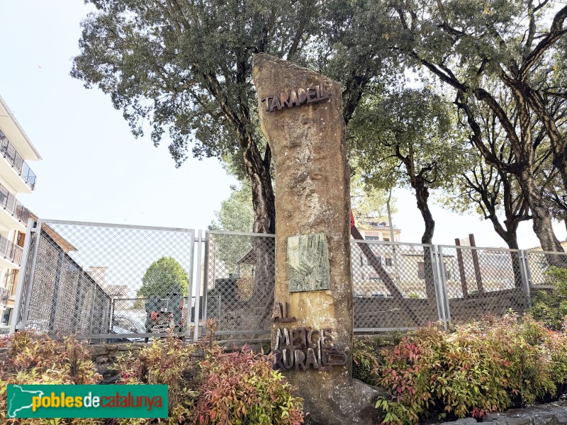 Taradell - Monument al metge rural