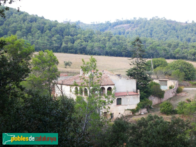 Sant Llorenç Savall - El Daví