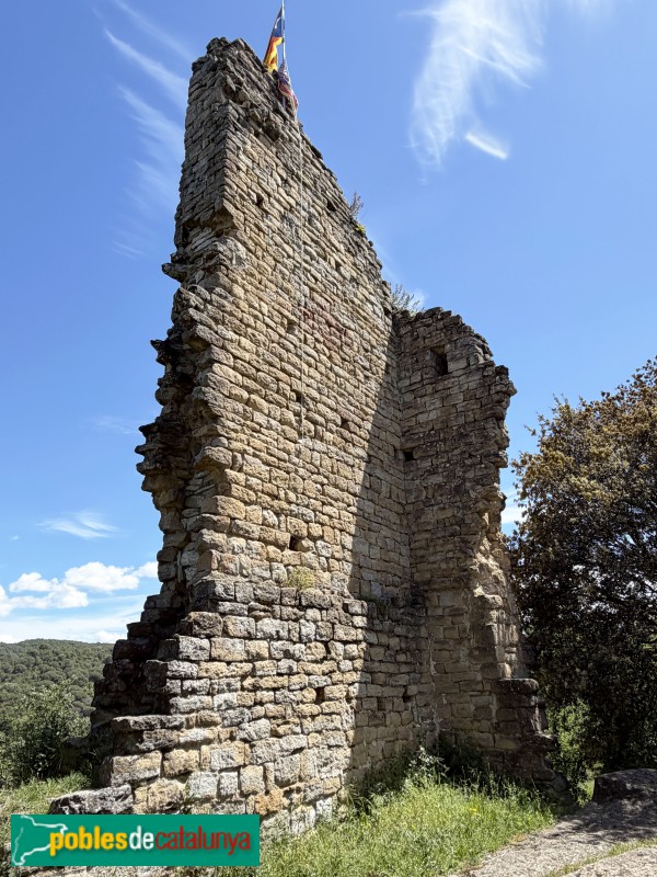 Sant Julià de Vilatorta - Castell de Bellpuig