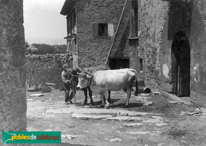 Sant Julià de Vilatorta - L'Albereda