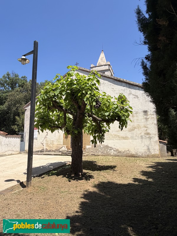 Canet d'Adri - Església de Santa Cecília de Montcal