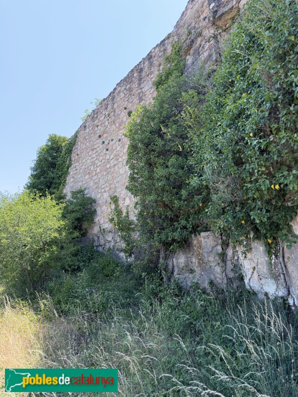 Cornudella de Montsant - Castell de Siurana