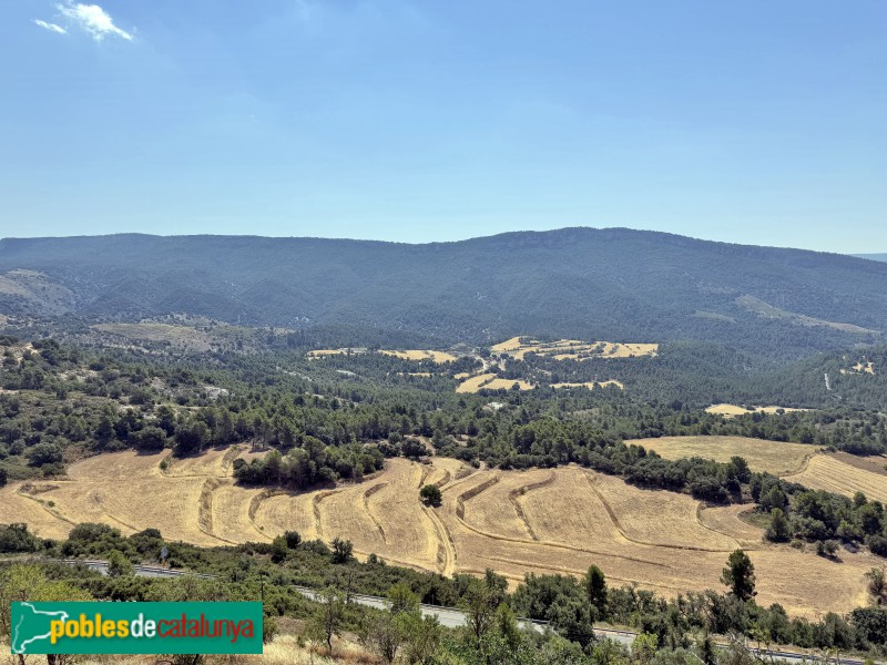 Cornudella de Montsant - Panoràmica des d'Albarca