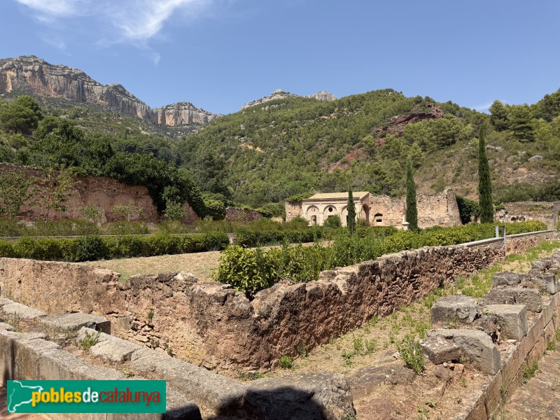 Cartoixa d'Escaladei - Claustre major