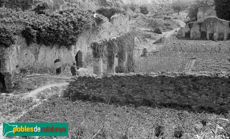Cartoixa d'Escaladei - Claustre major