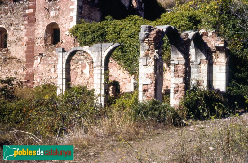 Cartoixa d'Escaladei - Claustre major