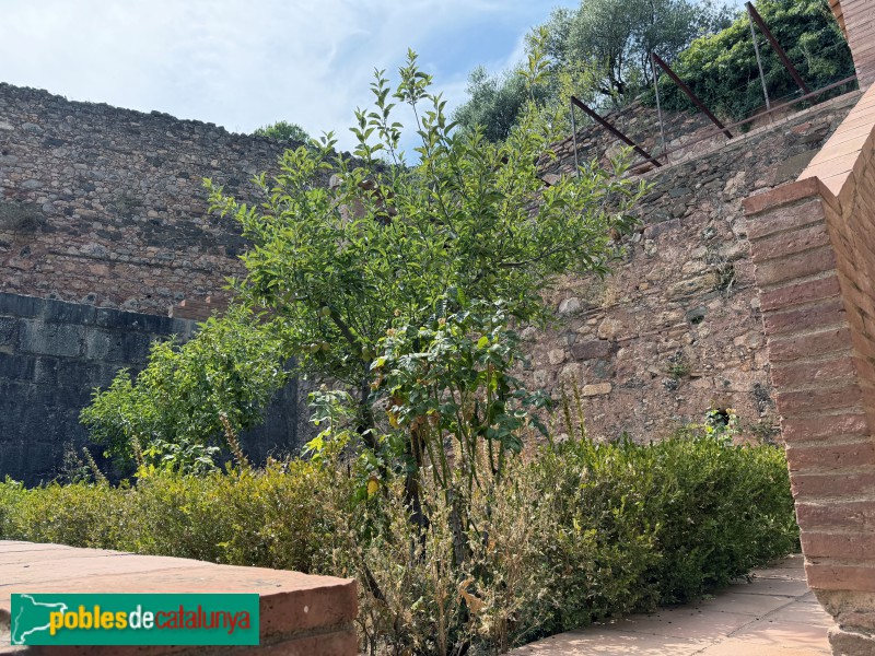 Cartoixa d'Escaladei - Cel·la reconstruïda. Jardí