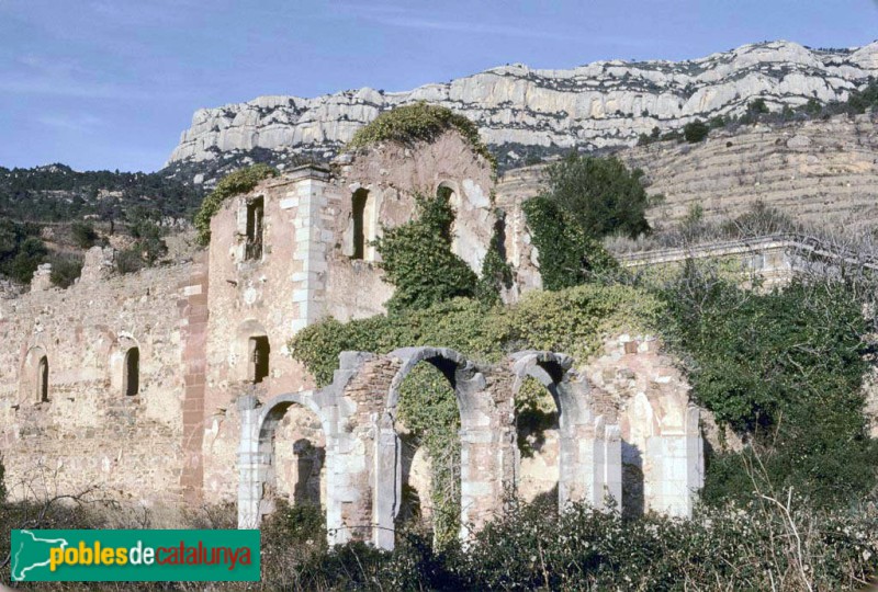 Cartoixa d'Escaladei - Claustre major