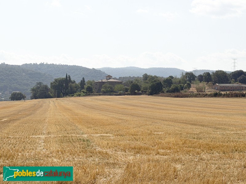 Tavèrnoles - El Banús (Foto: Albert Esteves, 2026) Tavèrnoles - El Banús