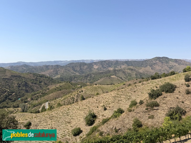 Falset - Panoràmica des de la bodega Ferrer Bobet