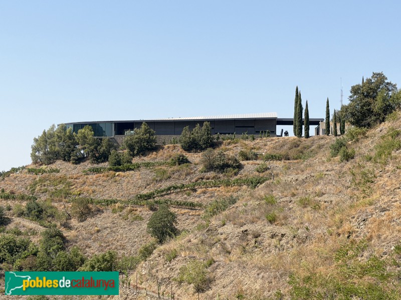 Falset - Bodega Ferrer Bobet