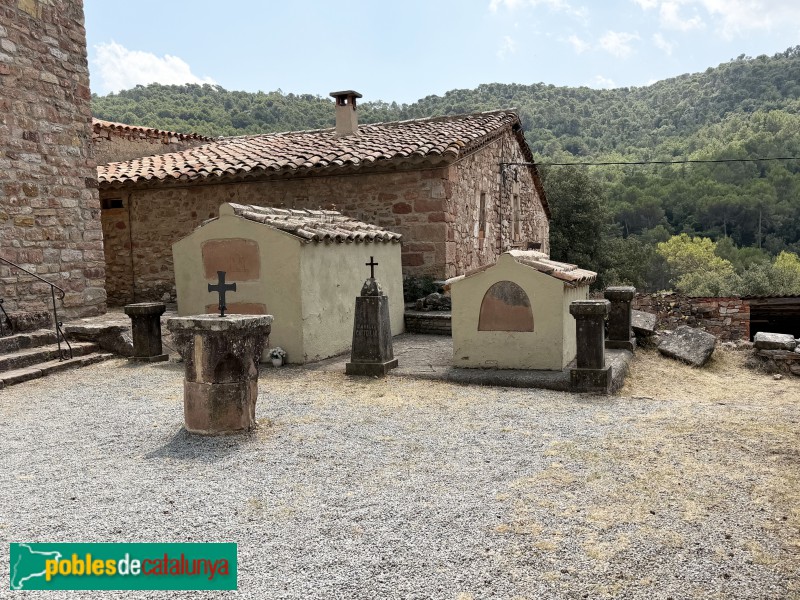 Sant Martí de Centelles - Església de Sant Pere de Valldaneu