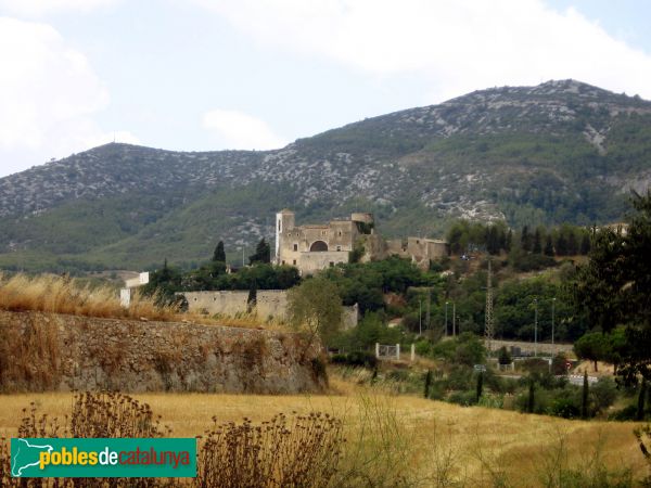Canyelles - Castell (Foto: Albert Esteves, 2006) Canyelles - Castell