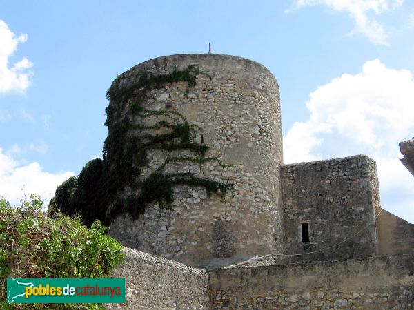 Canyelles - Castell (Foto: Albert Esteves, 2006) Canyelles - Castell