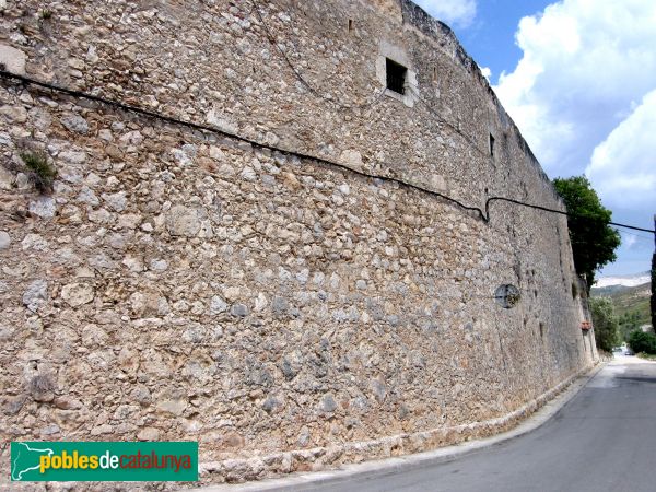 Canyelles - Castell (Foto: Albert Esteves, 2006) Canyelles - Castell