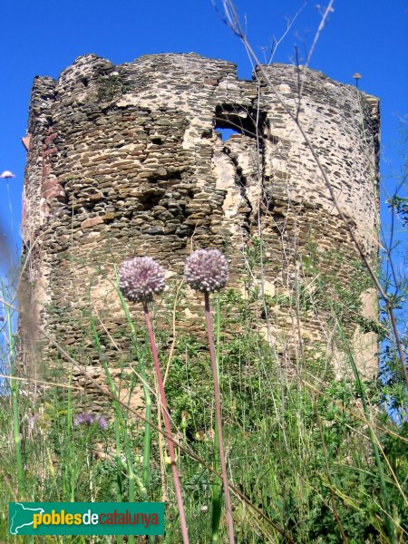 Sant Boi de Llobregat - Torre de Benviure, abans de la restauració (Foto: Albert Esteves, 2006) Sant Boi de Llobregat - Torre de Benviure, abans de la restauració